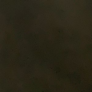 Meet your Posher, Jayla